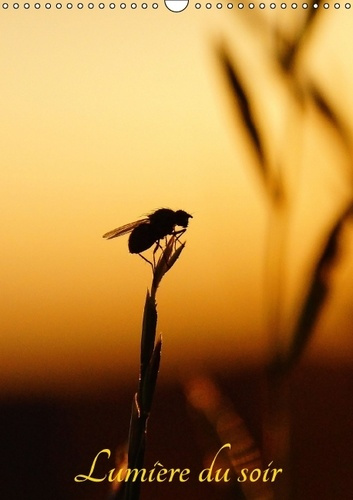 LUMIERE DU SOIR CALENDRIER MURAL 2016 DIN A3 VERTICAL