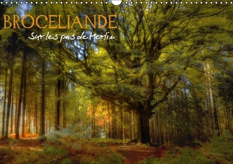 BROCELIANDE SUR LES PAS DE MERLIN CALENDRIER MURAL 2016 DIN A3 HORIZONTAL