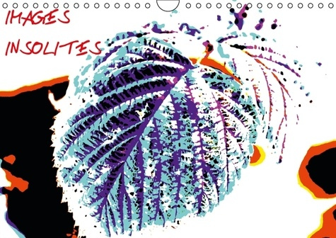 IMAGES INSOLITES CALENDRIER MURAL 2016 DIN A4 HORIZONTAL