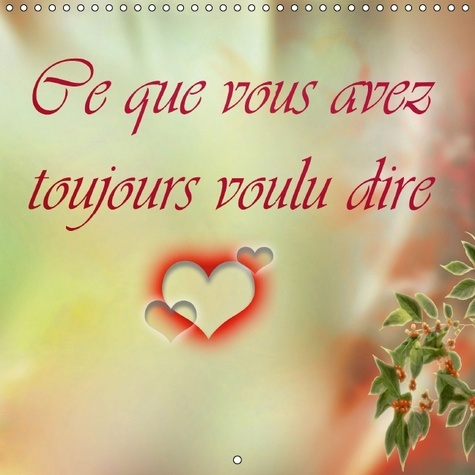 CE QUE VOUS AVEZ TOUJOURS VOULU DIRE CALENDRIER MURAL 2016 300 300 MM SQUARE