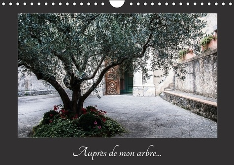 AUPRES DE MON ARBRE CALENDRIER MURAL 2016 DIN A4 HORIZONTAL