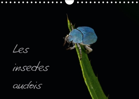 LES INSECTES AUDOIS CALENDRIER MURAL 2016 DIN A4 HORIZONTAL