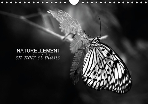 NATURELLEMENT EN NOIR ET BLANC CALENDRIER MURAL 2016 DIN A4 HORIZONTAL