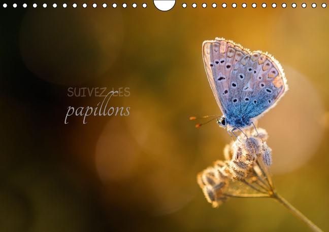 SUIVEZ LES PAPILLONS CALENDRIER MURAL 2016 DIN A4 HORIZONTAL