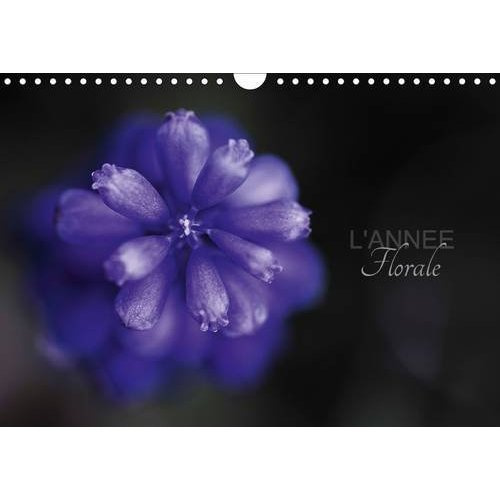 L ANNEE FLORALE CALENDRIER MURAL 2016 DIN A4 HORIZONTAL