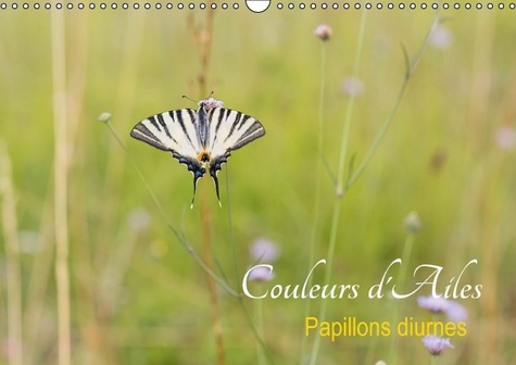 COULEURS D AILES CALENDRIER MURAL 2016 DIN A3 HORIZONTAL