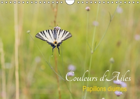COULEURS D AILES CALENDRIER MURAL 2016 DIN A4 HORIZONTAL