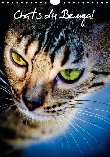 CHATS DU BENGAL CALENDRIER MURAL 2016 DIN A4 VERTICAL