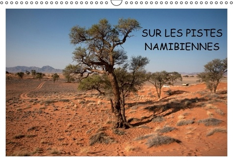 SUR LES PISTES NAMIBIENNES CALENDRIER MURAL 2016 DIN A3 HORIZONTAL