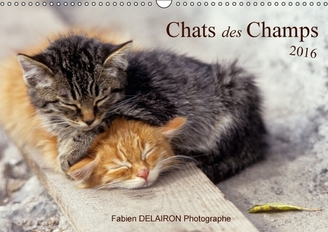CHATS DES CHAMPS CALENDRIER MURAL 2016 DIN A3 HORIZONTAL