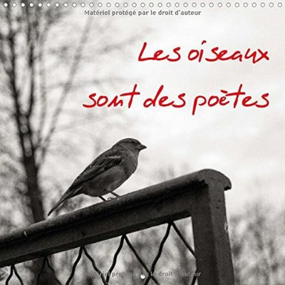 LES OISEAUX SONT DES POETES CALENDRIER MURAL 2016 300 300 MM SQUARE