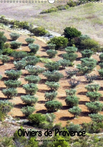OLIVIERS DE PROVENCE CALENDRIER MURAL 2016 DIN A3 VERTICAL