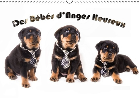 DES BEBES D ANGES HEUREUX CALENDRIER MURAL 2016 DIN A3 HORIZONTAL