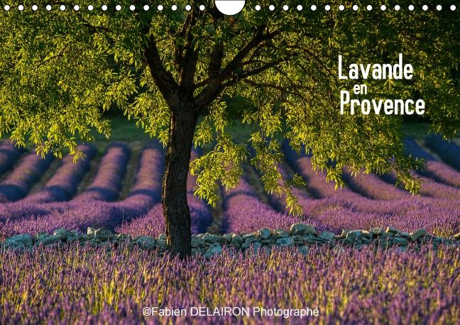 LAVANDE EN PROVENCE CALENDRIER MURAL 2016 DIN A4 HORIZONTAL