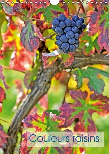 COULEURS RAISINS CALENDRIER MURAL 2016 DIN A4 VERTICAL