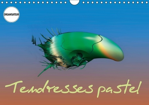 TENDRESSES PASTEL CALENDRIER MURAL 2016 DIN A4 HORIZONTAL