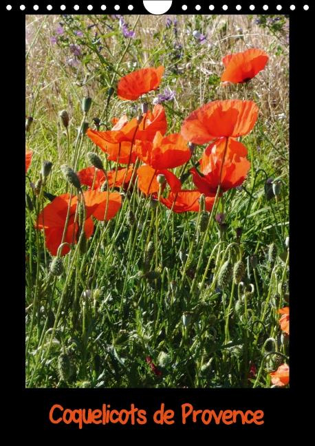 COQUELICOTS DE PROVENCE CALENDRIER MURAL 2016 DIN A4 VERTICAL