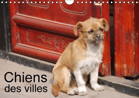 CHIENS DES VILLES CALENDRIER MURAL 2016 DIN A4 HORIZONTAL