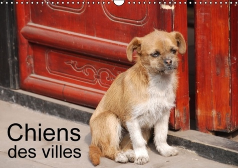 CHIENS DES VILLES CALENDRIER MURAL 2016 DIN A3 HORIZONTAL