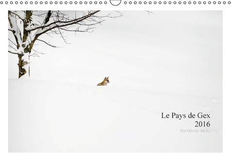LES PAYS DE GEX 2016 CALENDRIER MURAL 2016 DIN A3 HORIZONTAL