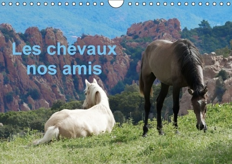 LES CHEVAUX NOS AMIS CALENDRIER MURAL 2016 DIN A4 HORIZONTAL