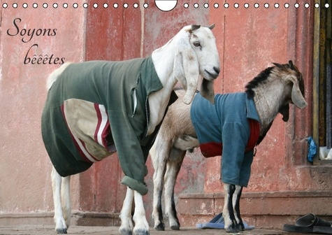 SOYONS BEEETES CALENDRIER MURAL 2016 DIN A4 HORIZONTAL