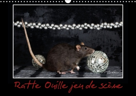 RATTE OUILLE JEU DE SCENE CALENDRIER MURAL 2016 DIN A3 HORIZONTAL