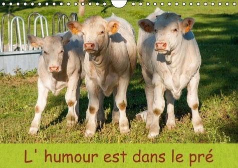 L HUMOUR EST DANS LE PRE CALENDRIER MURAL 2016 DIN A4 HORIZONTAL