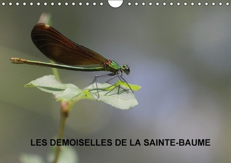 LES DEMOISELLES DE LA SAINTE BAUME CALENDRIER MURAL 2016 DIN A4 HORIZONTAL