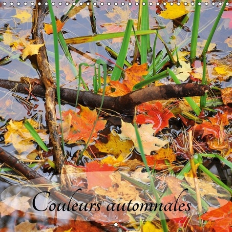 COULEURS AUTOMNALES CALENDRIER MURAL 2016 300 300 MM SQUARE