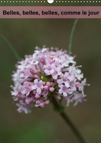BELLES BELLES BELLES COMME LE JOUR CALENDRIER MURAL 2016 DIN A3 VERTICAL