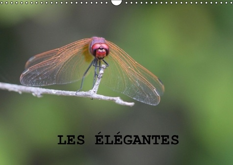 LES ELEGANTES CALENDRIER MURAL 2016 DIN A3 HORIZONTAL