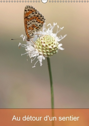 AU DETOUR D UN SENTIER CALENDRIER MURAL 2017 DIN A3 VERTICAL