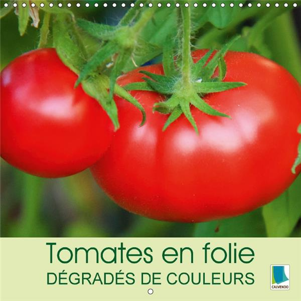 TOMATES EN FOLIE DEGRADES DE COULEURS CALENDRIER MURAL 2017 300 300 MM SQUARE - LES TOMATES ELLES PR