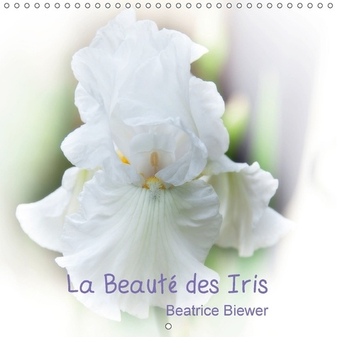 DES IRIS DANS TOUTE LEUR SPLEN