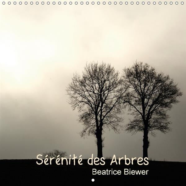 DES ARBRES SOURCE DE SERENITE