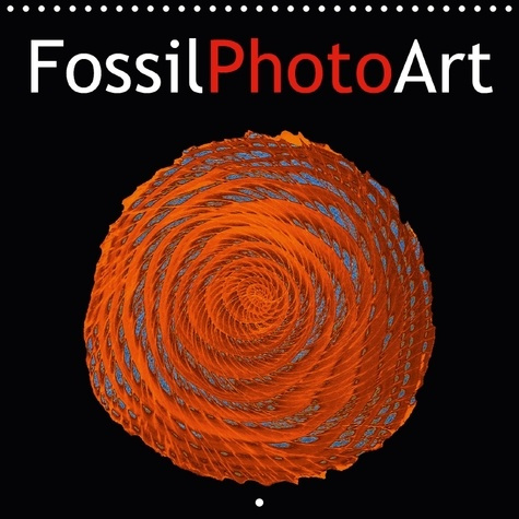 PHOTOS DE FOSSILES MANIPULEES