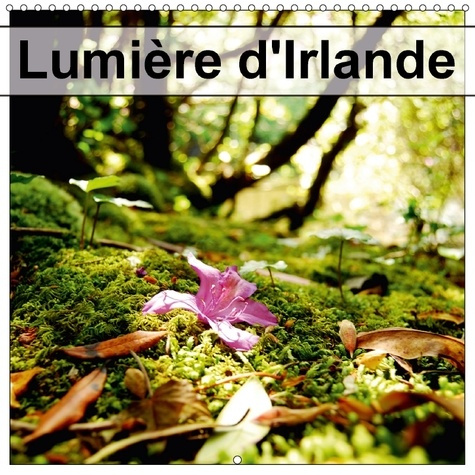 PAYSAGES DE L OUEST DE L IRLAN