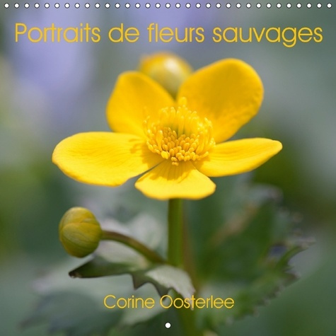 DOUCEUR ET BEAUTE DES FLEURS S