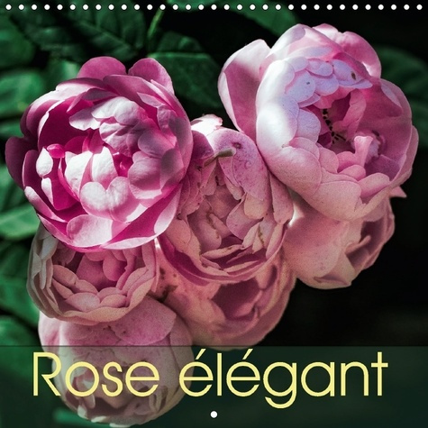 ROSE ELEGANT VOUS EMMENE DANS