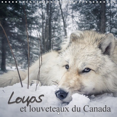 LOUVETEAUX LOUVARD ET LOUPS VO
