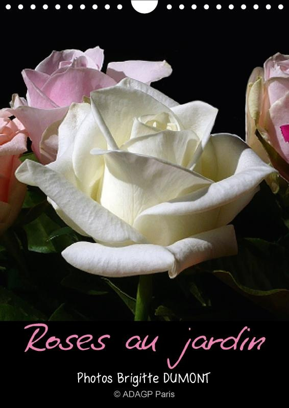 ROSES AU JARDIN CALENDRIER MURAL 2018 DIN A4 VERTICAL - PROMENADE SOUS LES ROSIERS AU