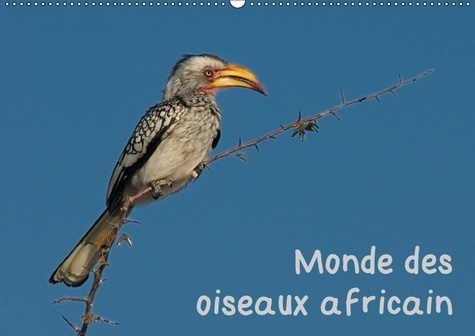 MONDE DES OISEAUX AFRICAIN CALENDRIER MURAL 2018 DIN A2 HORI - DES PORTRAITS D OISEAU FASCINA