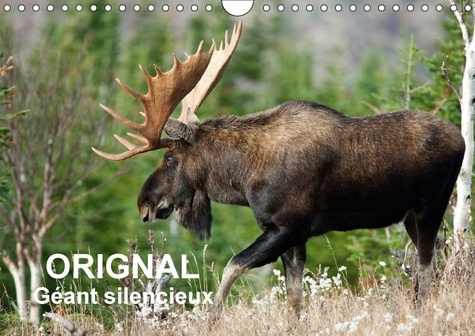 ORIGNAL GEANT SILENCIEUX CALENDRIER MURAL 2018 DIN A4 HORIZO - L ORIGNAL DU CANADA AU FIL DES