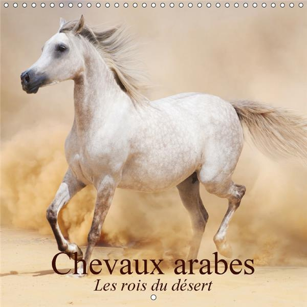 CHEVAUX ARABES LES ROIS DU DESERT CALENDRIER MURAL 2018 300 - DES CREATURES LEGENDAIRES CALE