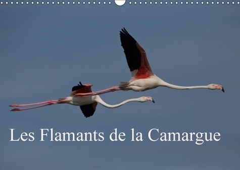 LES FLAMANTS DE LA CAMARGUE CALENDRIER MURAL 2018 DIN A3 HOR - SCENES DE LA VIE D UNE ESPECE