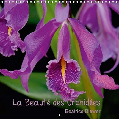 LA BEAUTE DES ORCHIDEES CALENDRIER MURAL 2018 300 300 MM SQU - DES FLEURS FASCINANTES AU FORM