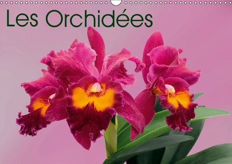 LES ORCHIDEES CALENDRIER MURAL 2018 DIN A3 HORIZONTAL - LES ORCHIDEES EXOTIQUES CALEND