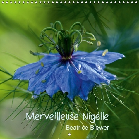 MERVEILLEUSE NIGELLE CALENDRIER MURAL 2018 300 300 MM SQUARE - UNE MERVEILLEUSE PETITE FLEUR