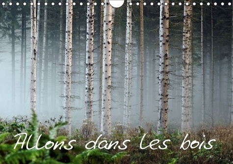 ALLONS DANS LES BOIS CALENDRIER MURAL 2018 DIN A4 HORIZONTAL - LA FORET AU TRAVERS DES SAISON